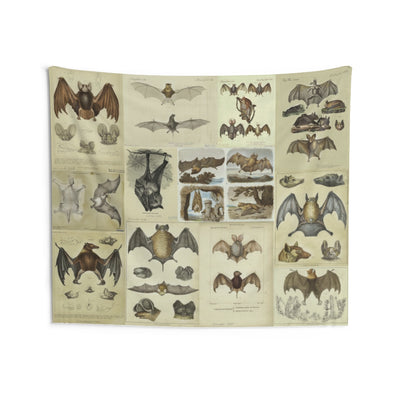 Vintage Bat Print Wall Tapestry Goth Art Dark Acadamia | Creepy Bats Wall Decor | Gothic, Horror, Vampire Fans | Scary Halloween - AudaciousGifts